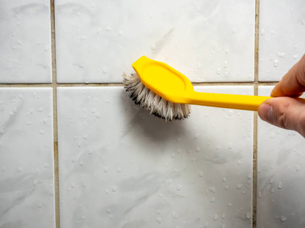 Best Residential Mold Remediation in Ridgeville, SC