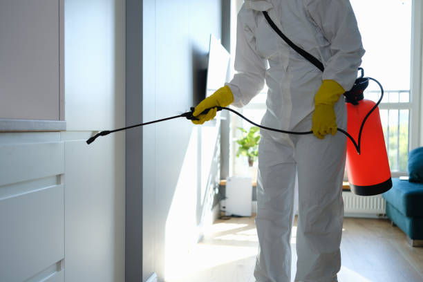 Best DIY Mold Remediation Support Services in Ridgeville, SC