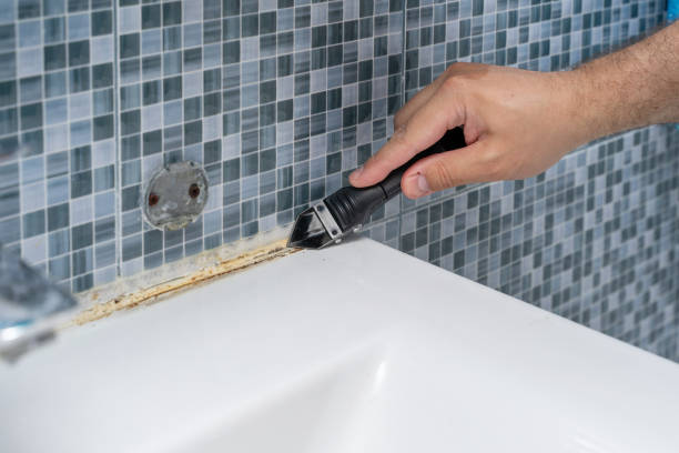 Best Post-Flood Mold Remediation in Ridgeville, SC